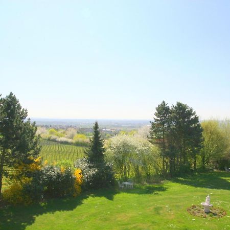 Krone Am Park - Gaestehaus Des Hotel Krone Alzenau in Unterfranken Exteriér fotografie