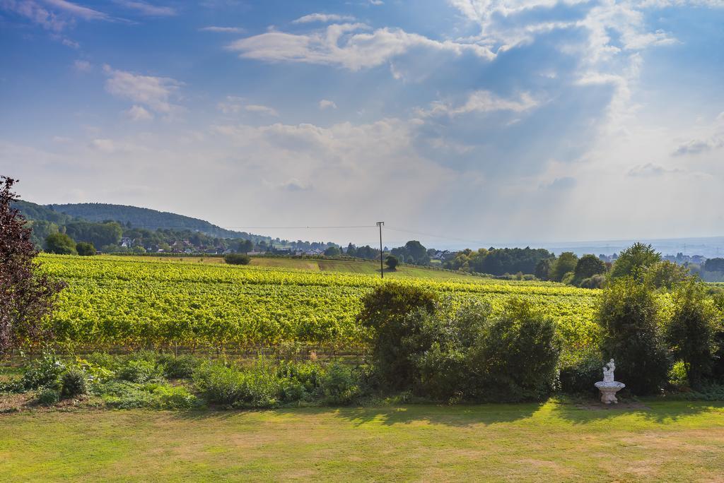 Krone Am Park - Gaestehaus Des Hotel Krone Alzenau in Unterfranken Exteriér fotografie